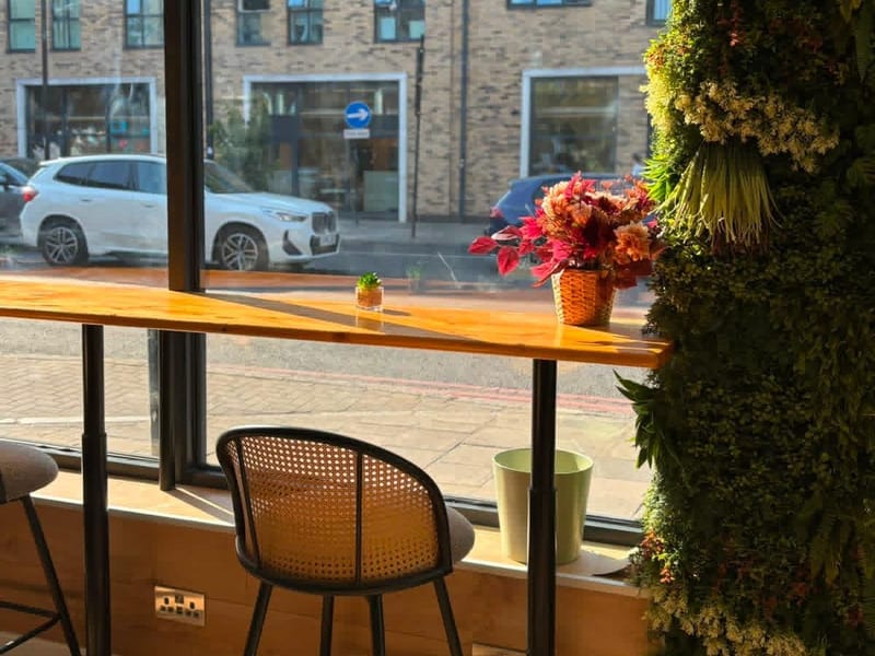 Rattan bar stools at a sunlit window counter with potted flowers, looking out onto the street